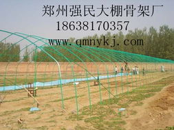 郑州市强民大棚骨架厂 构筑现代农业的坚实脊梁——花卉与温室大棚骨架产品全览