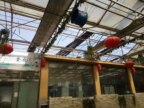 光伏温室顶棚材料升级 透明阳光板替换塑料板，抗紫外线防冰雹更划算