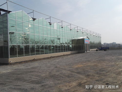 连栋温室大棚排水系统设计原则与排水管布置指南