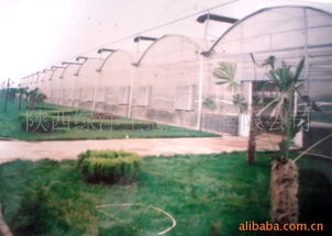 郭立民的温室 一位普通农民的科学种植探索